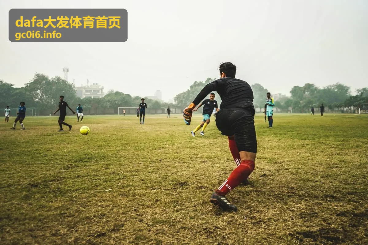 dafa大发体育赛事数据深度解析